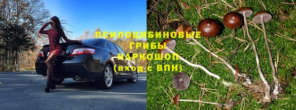 ешки Алзамай