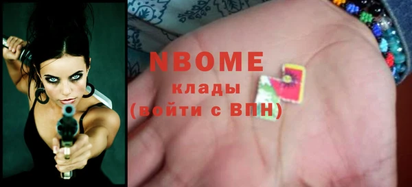 шишки Приозерск