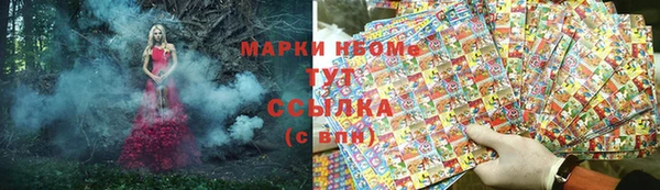 ешки Алзамай