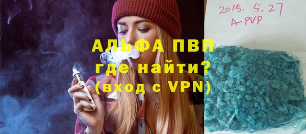 шишки Приозерск