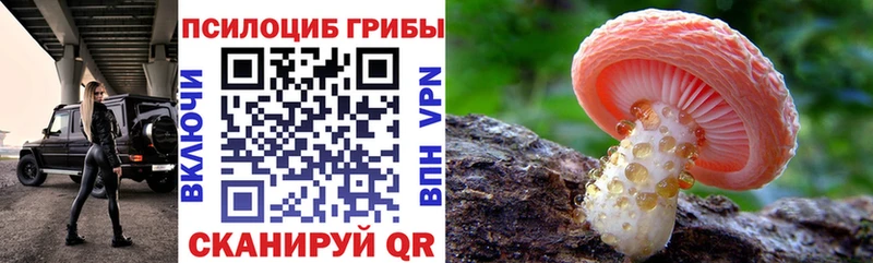 Псилоцибиновые грибы MAGIC MUSHROOMS  как найти закладки  Хвалынск 